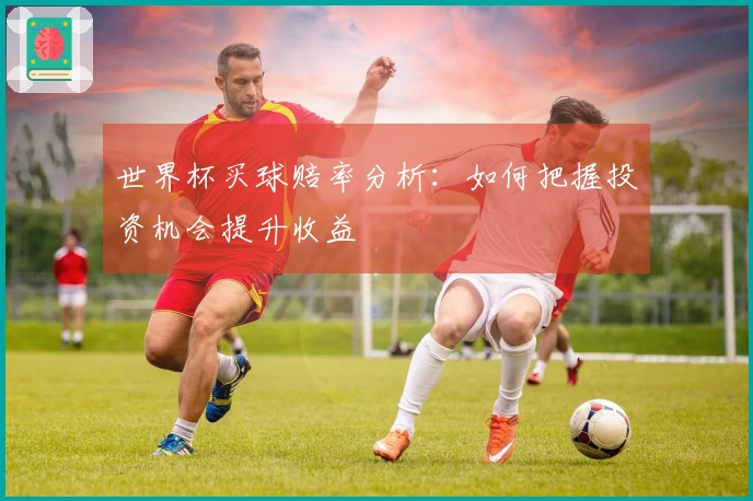 世界杯买球赔率分析：如何把握投资机会提升收益