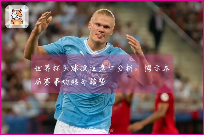世界杯买球投注盘口分析，揭示本届赛事的赔率趋势