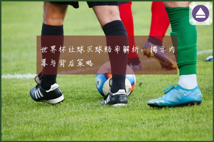 世界杯让球买球赔率解析，揭示内幕与背后策略