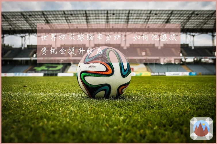 世界杯买球赔率分析：如何把握投资机会提升收益
