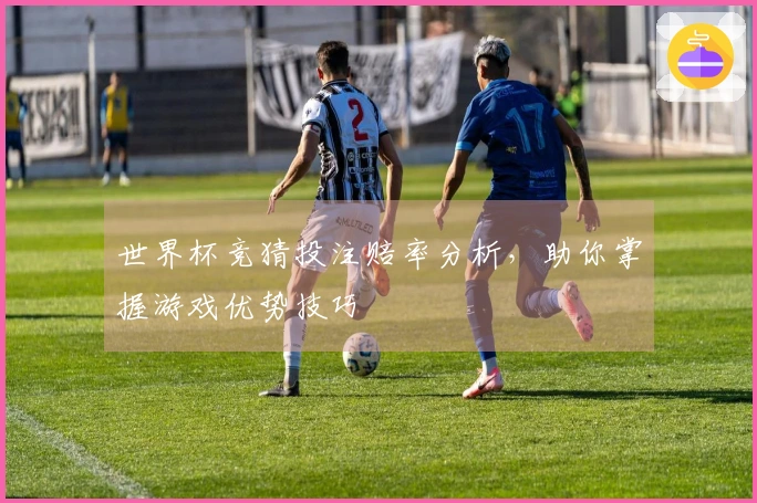 世界杯竞猜投注赔率分析，助你掌握游戏优势技巧
