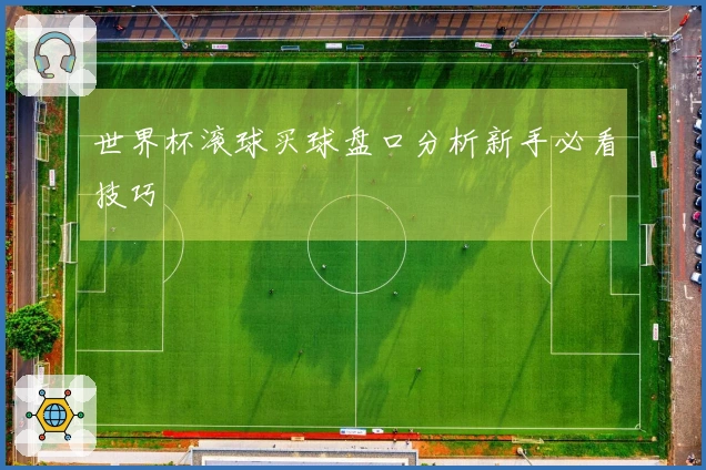 世界杯滚球买球盘口分析新手必看技巧
