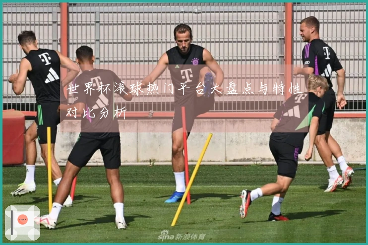 世界杯滚球热门平台大盘点与特性对比分析