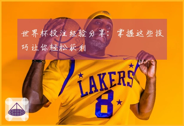 世界杯投注经验分享：掌握这些技巧让你轻松获利