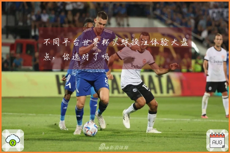 不同平台世界杯买球投注体验大盘点，你选对了吗