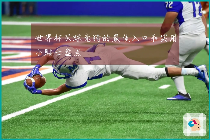 世界杯买球竞猜的最佳入口和实用小贴士盘点